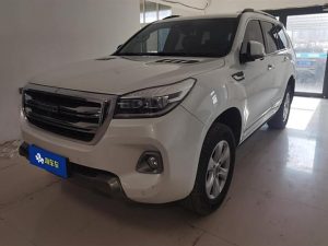 Haval H9 2020 2.0T Gasoline 4WD Luxury 7 Seaters, Ноябрь 2020 г., пробег 19100 км. (Б/у) Полный