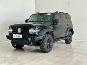 Tank 300 2021 Off-Road Edition 2.0T Challenger, Июнь 2021 г., пробег 35000 км. (Б/у) Полный