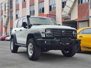 Tank 300 2021 Off-Road Edition 2.0T Conqueror,  Сентябрь 2022 г., пробег 28000 км. (Б/у) Полный